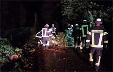 Einsatz-Baum-23102025-1A