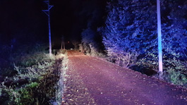 Einsatz-Baum-23102025-2A