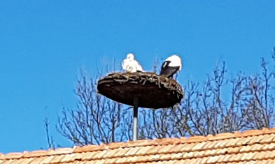 Storchennest-5H