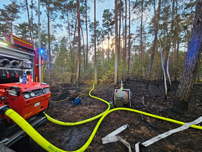 Waldbrand-Bellheim-1H